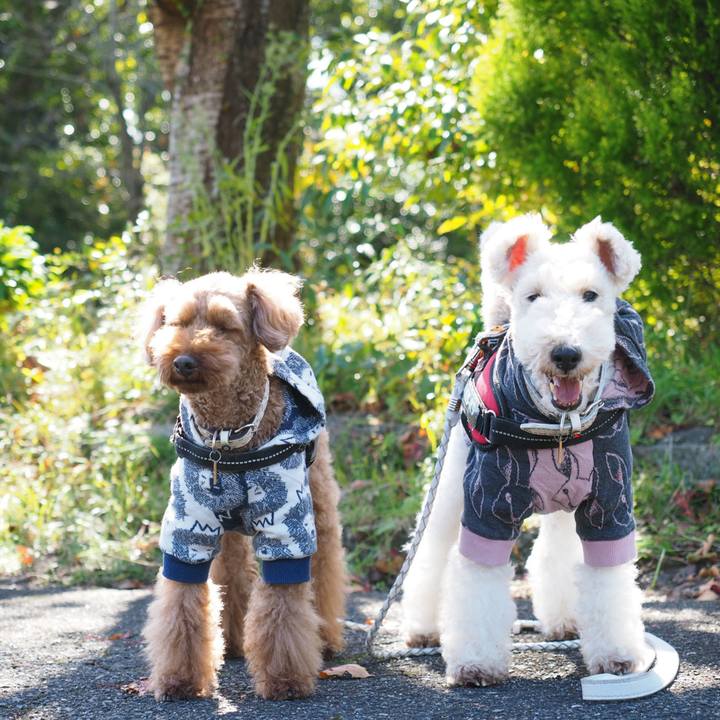 Be8faf6b 453a 4f7a 93fb f2066ca00666 1572671895730