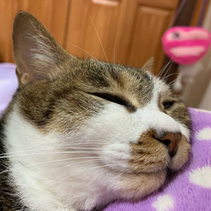 Be8fb2d7 b864 4a28 8875 14706edf07b2 1590013244373