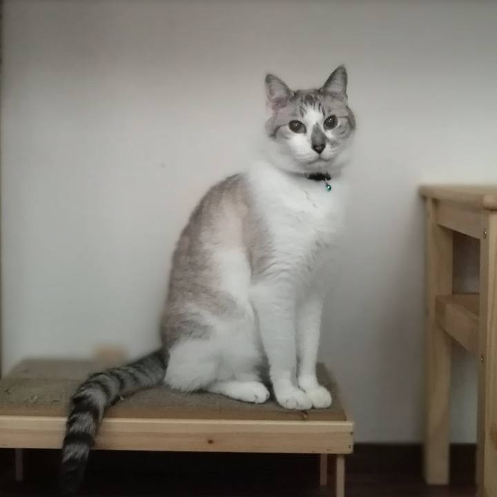 Be8fd39c de16 414e 97f8 af41ce85058f 1567041611174