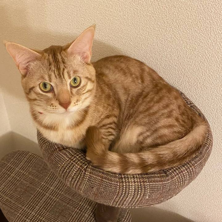 Be8fdc78 1bb4 4781 9ff3 4b8af7ede3ad 1640778537174