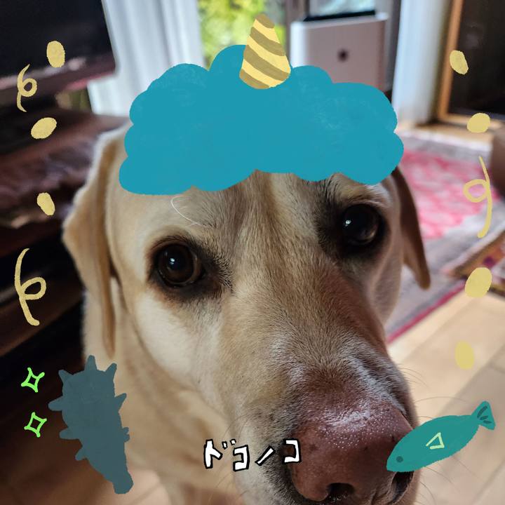 Be90363a ec73 4c80 a839 92c0d1369e27 1706871626292