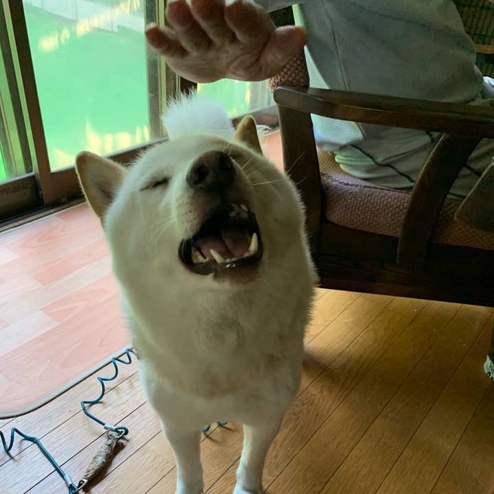 Be90694c fe7c 43e2 a145 3d1208929c56 1597180388349