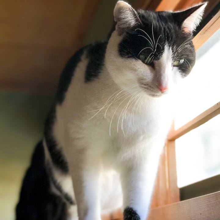 Be9073ba f157 49b1 963c 2094238a505b 1517791969207