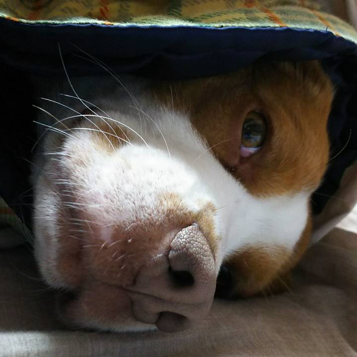 Be9075c4 1aab 480b a1eb 28d8bdba8950 1519916224701