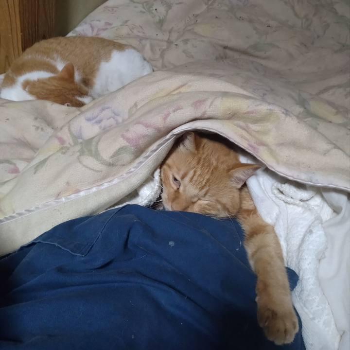 Be90790b b431 484e 9119 2b5e501430ae 1761912658418