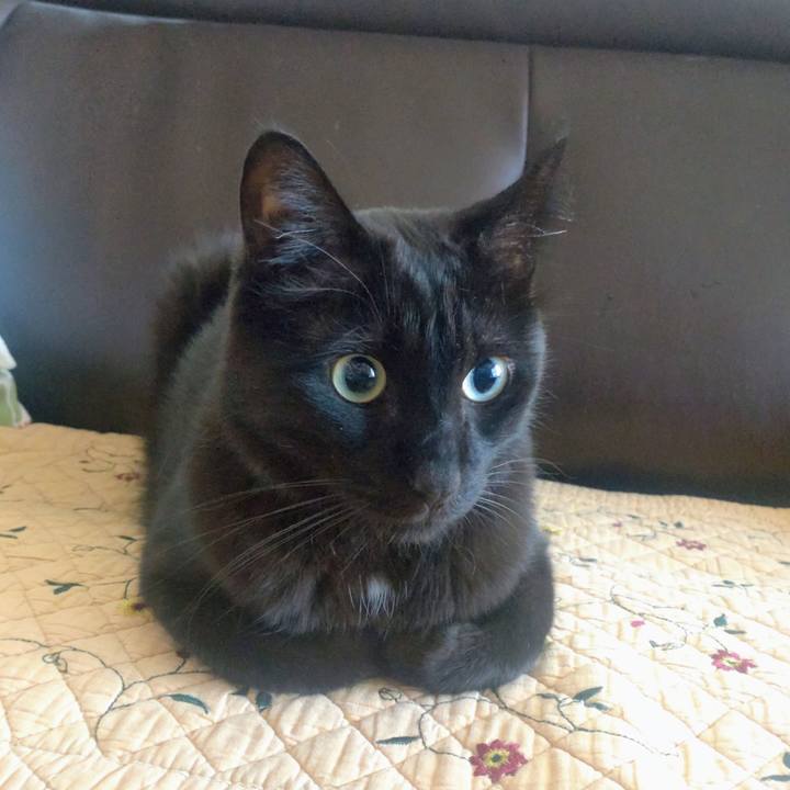 Be908362 f27c 4a58 ab94 7ba2b84b0d78 1757893916899