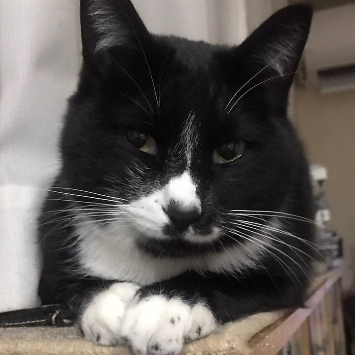 Be90a895 04cf 423c bcca 47cb41685c28 1608950961770