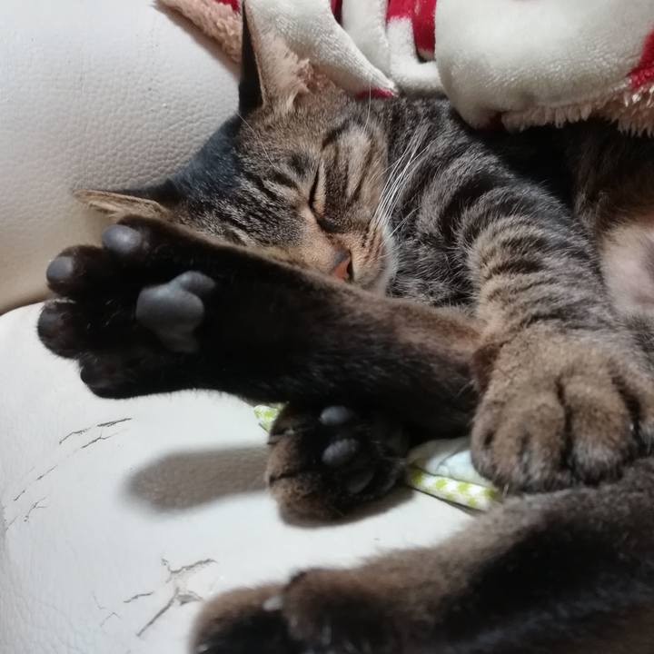 Be90b1b7 a822 4462 a30b 116a358eb97b 1573900803333