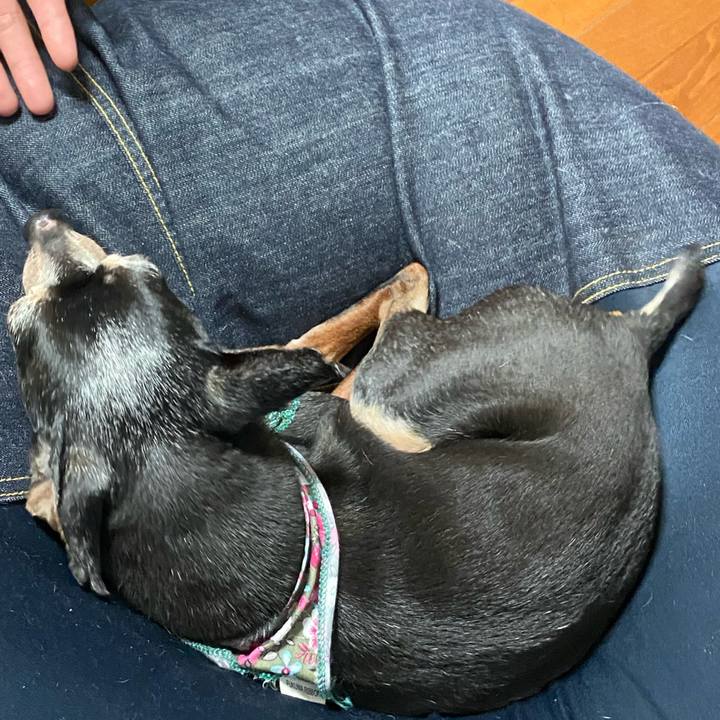 Be90f8d9 c2d9 4136 b0d7 88519cdef7df 1585455049975