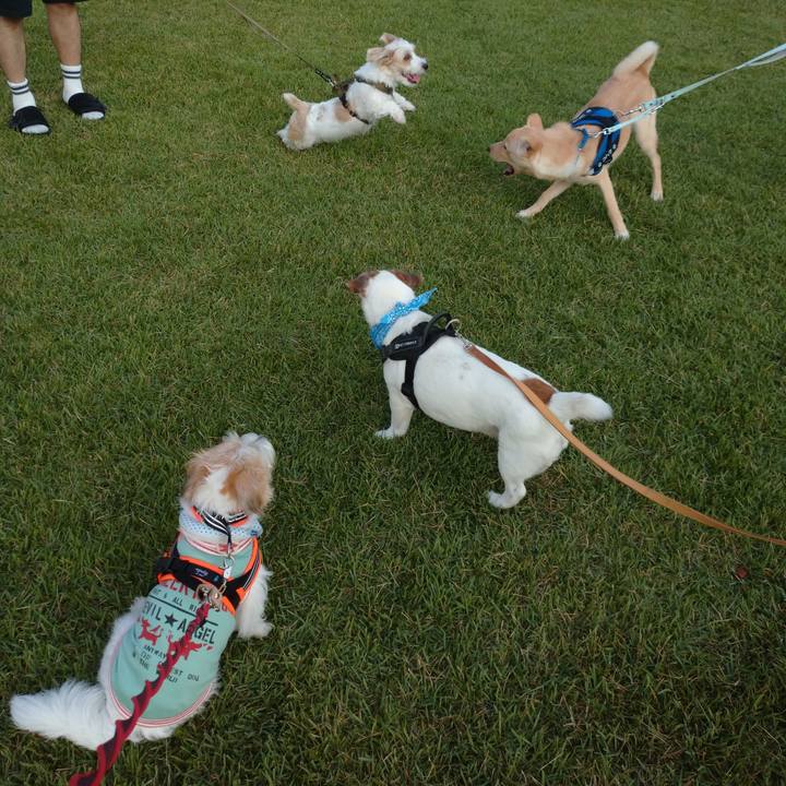 Be90fedd 0451 4c7f 9990 0f4ba42f537e 1755903635442