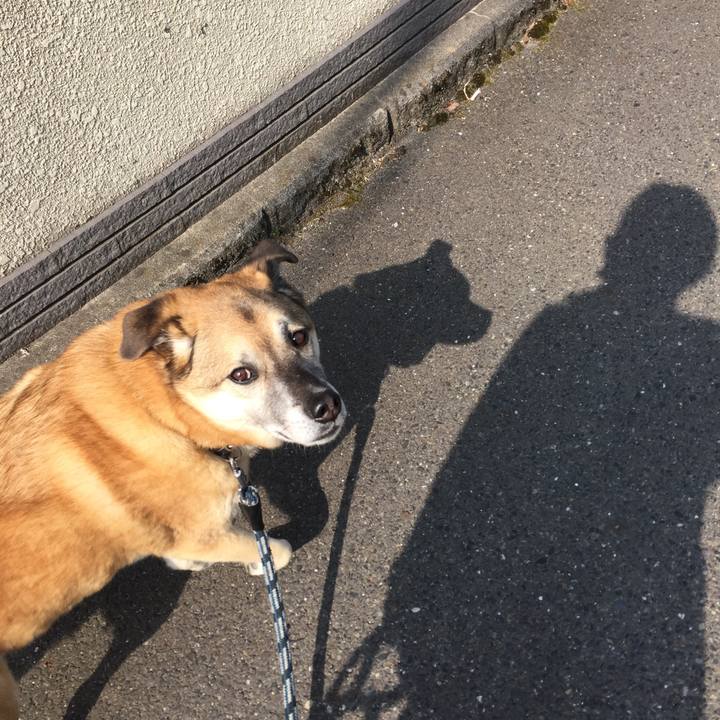 Be913f06 a3b2 4542 a0f6 3914615718e3 1519439145489