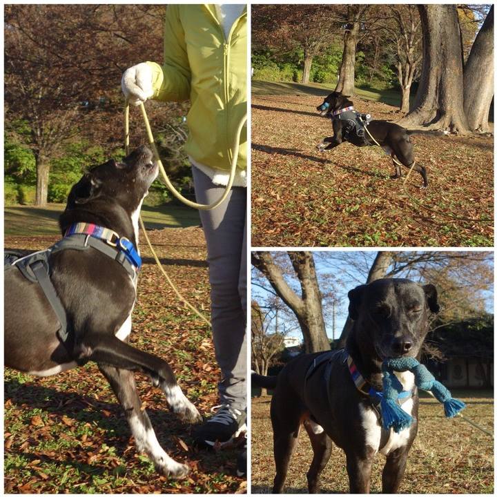 Be9155fc a532 484a b8a3 67590f9f838d 1637888460075