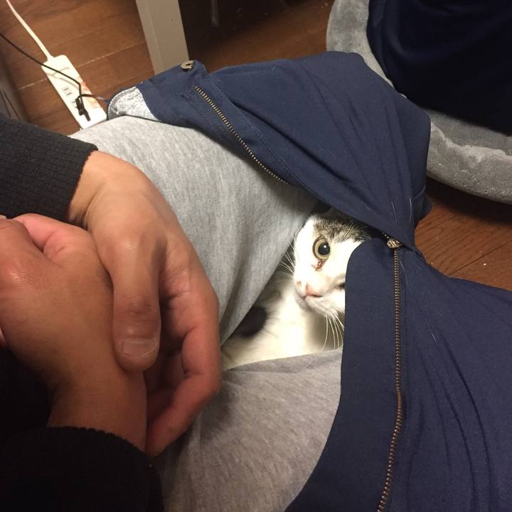 Be915be3 75e4 41bf 9770 96368bc5f3ea 1545778477001