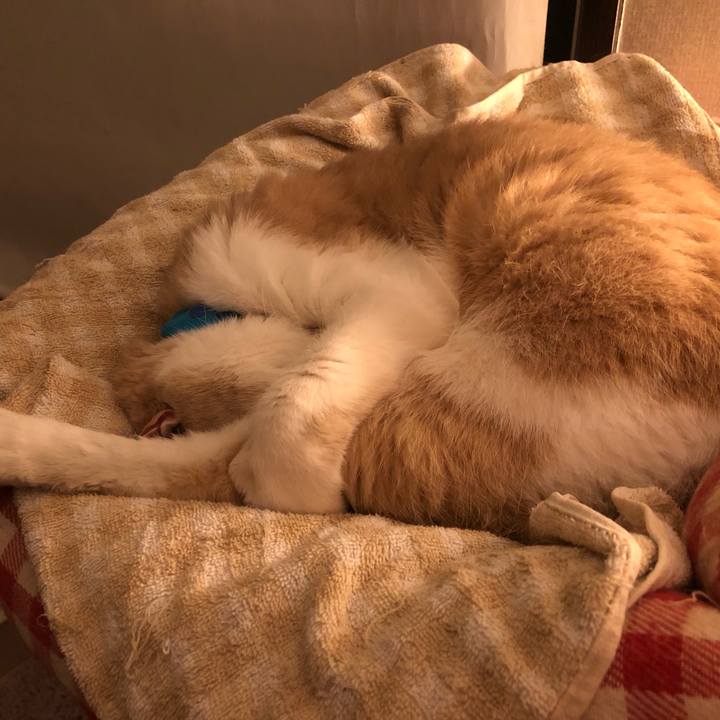 Be918154 8e9f 4a3b b993 d893bffdf0e8 1587134132013