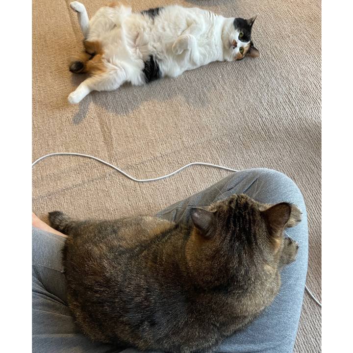 Be91b47e 95b6 40f6 a817 56efb6446dc3 1630889780192