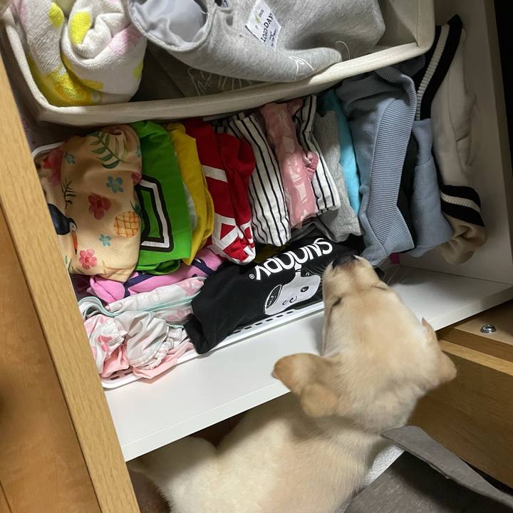 Be91d6e5 74d8 43ba 9c1a 0f1b48e37d2b 1629124480869