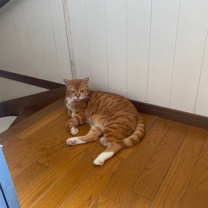 Be91db0f e61e 485f 9328 f5eb733e3b4d 1694829411206