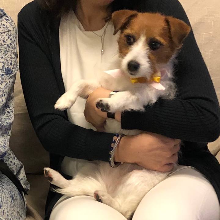 Be91f9ec 84d3 4ac9 961f 951295ae68c1 1556801451674