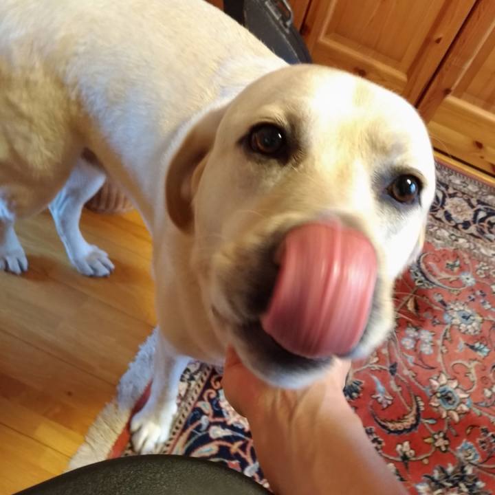 Be92279f d8a9 46db 9490 28d99411b6bb 1589986900110