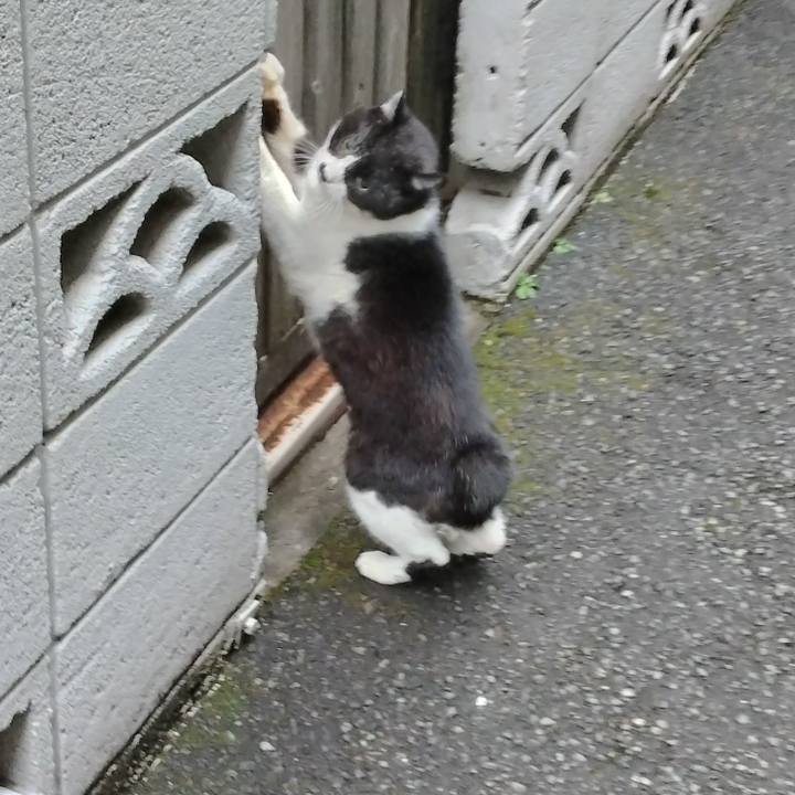 Be923b88 3b2e 431d 9cdd 1878854f8359 1707048909423