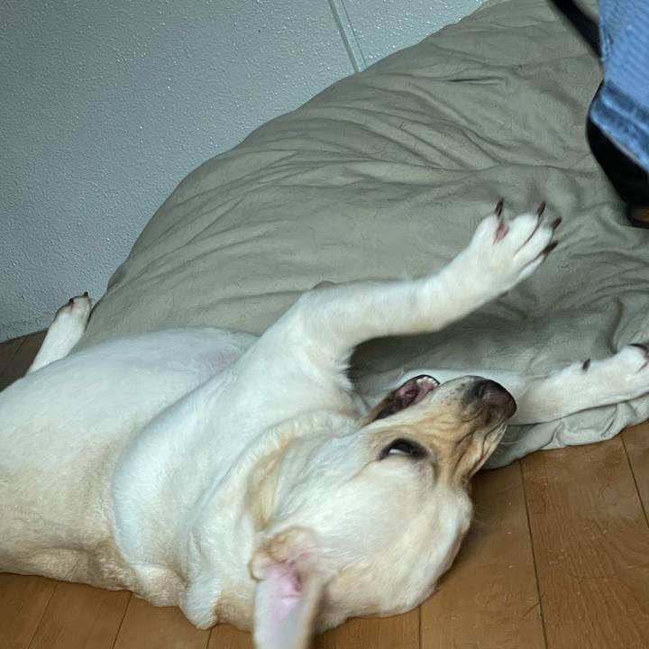 Be926c33 ea3f 4192 836b 22d7de31360b 1694927159688