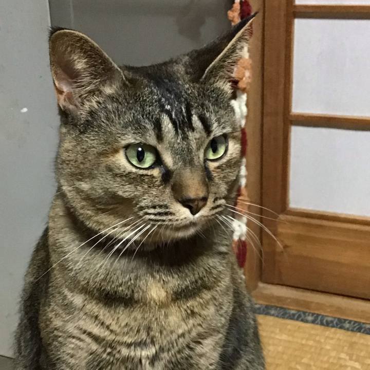 Be926db2 8bee 4f7e b775 0202d67eb622 1671888048477