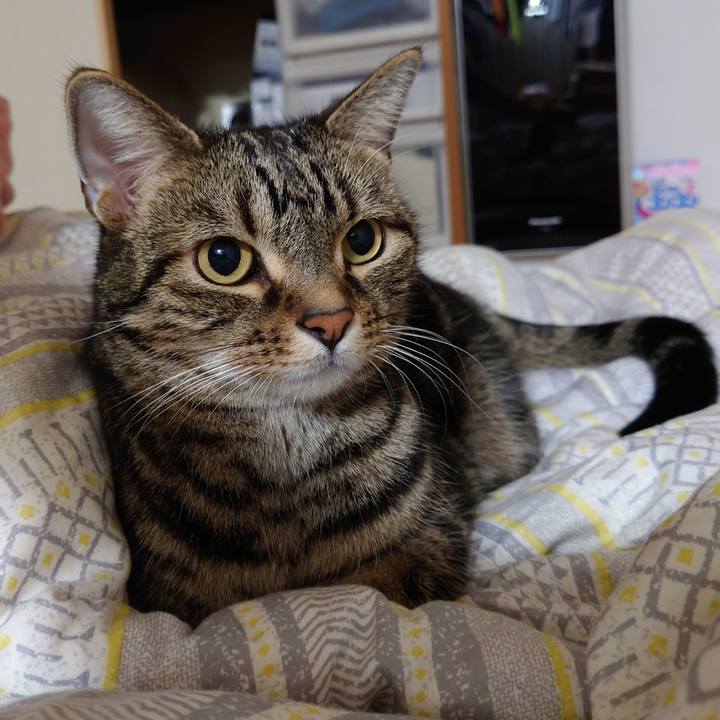 Be929ed5 5f23 4066 916a 429a1c464215 1667351033651