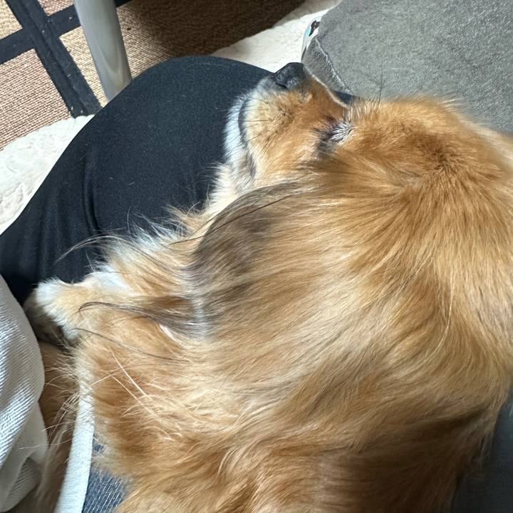 Be92a6b6 e658 4127 8bce a02efc04c019 1702588199559