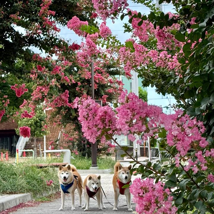 Be92bc0d 4fce 4ddb 843e 0f4aca1a952b 1754063440961