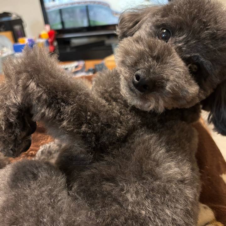 Be92c2af bceb 4602 bbbc c4c9f984f215 1739190488949