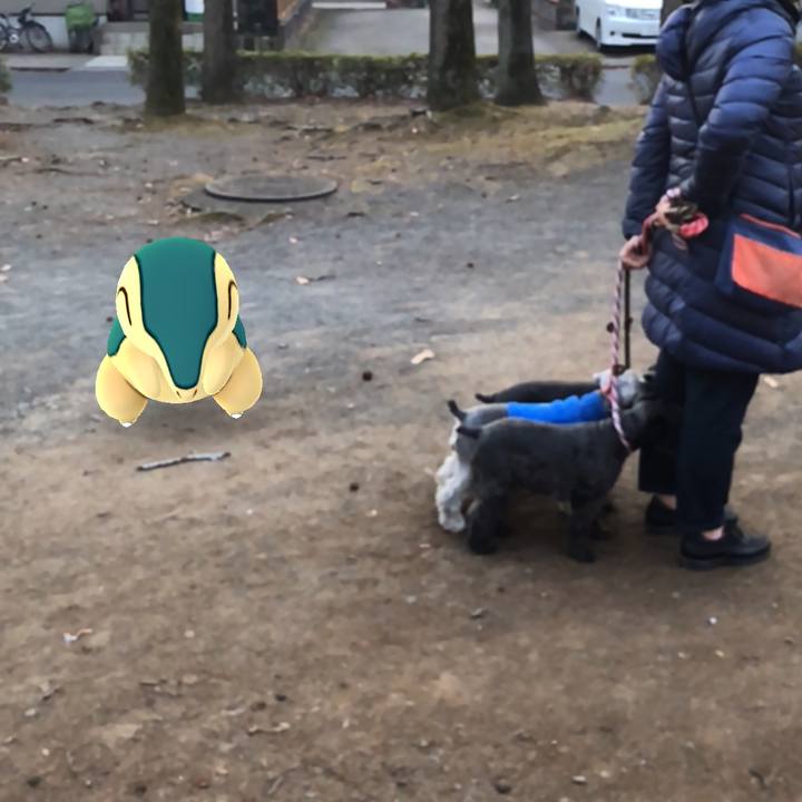 Be92d122 f94b 41ad b024 828a674a15e8 1514102387928