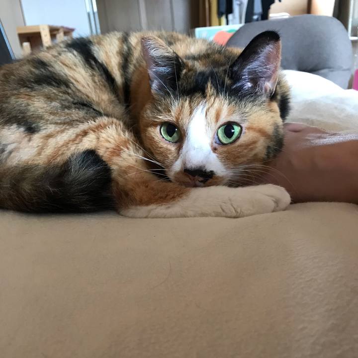 Be92d790 e3fc 4aa2 b1cf 92bd358a2755 1563604940980