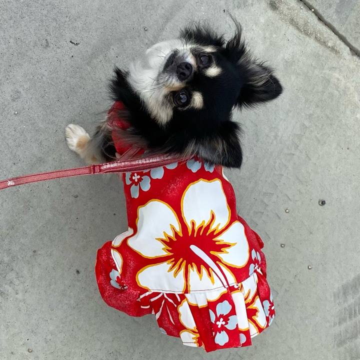 Be92f555 581b 4383 a406 c582ff4793f0 1659651842365