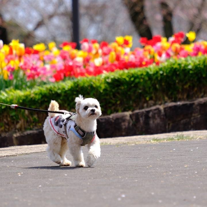 Be92fb30 44f0 4626 b0a2 3d31937347da 1649456949888