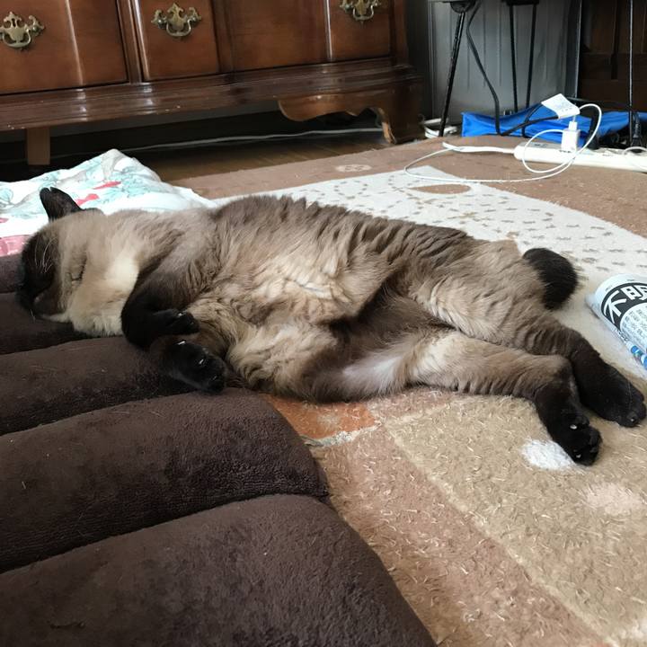 Be930a8d 7d25 45e3 93f6 77cca51fb7c5 1531630801147