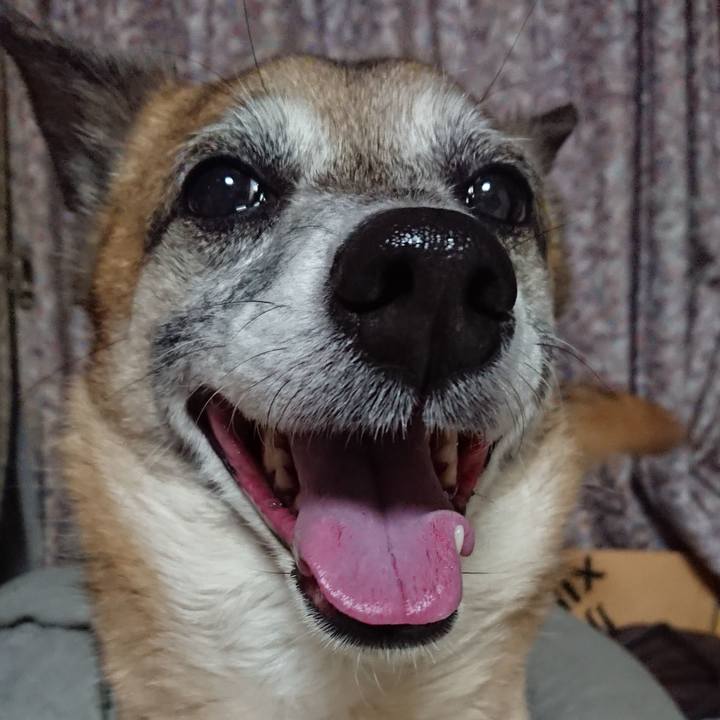 Be9312a4 3cdd 4a23 a2c4 de9ef67f5a5a 1521117875863