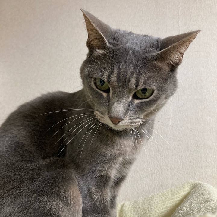 Be931618 f5bc 405c aee8 427df558cc0d 1652007987220