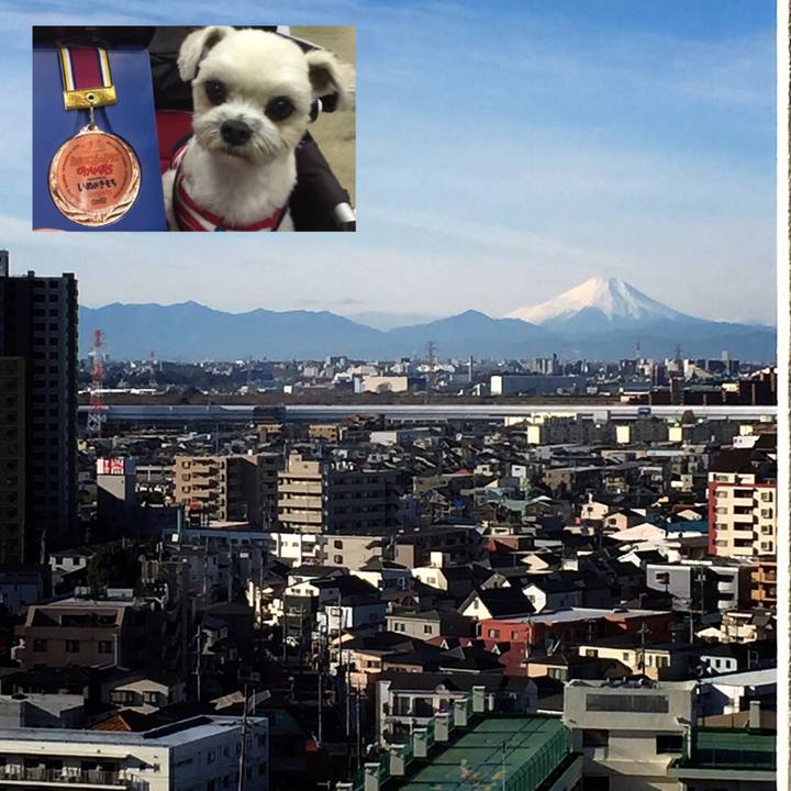 Be9323e5 be3c 4f6a bff5 020cec4f3eaf 1546238143093