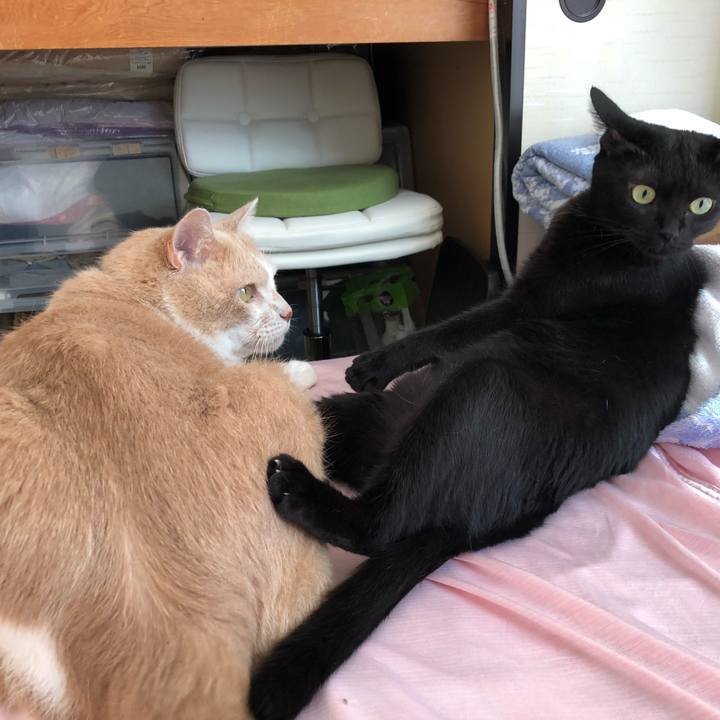 Be934453 7e00 43c2 b5d5 bfae003803b3 1535496805669