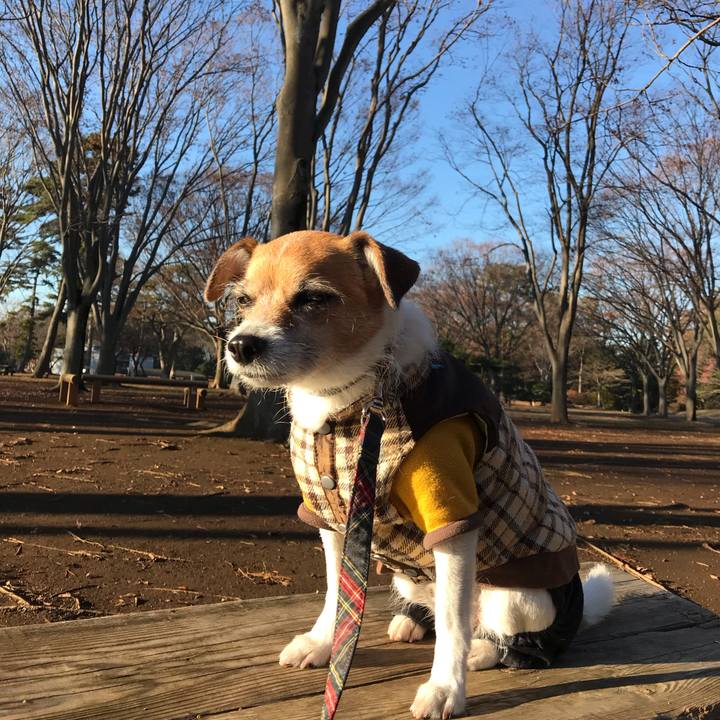 Be939260 bef6 405c 85be a648b071d20d 1545029578255