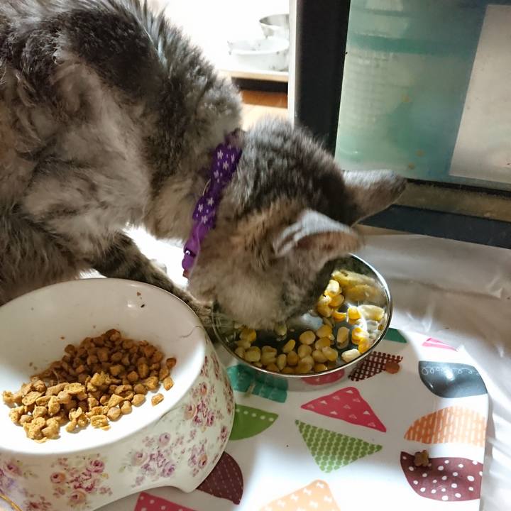 Be93a506 1898 4895 917a e92e89173099 1597061366581