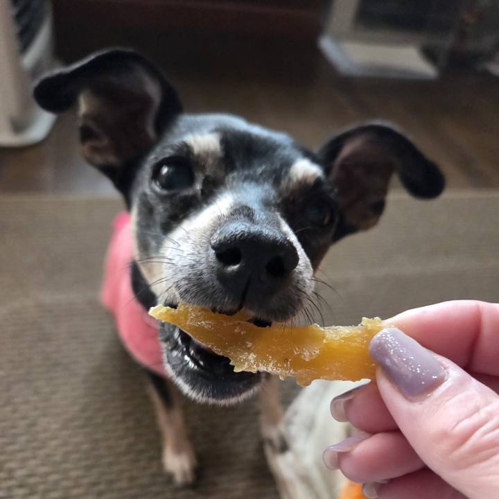 Be93c39e d32e 4045 b5f8 945349fee4a5 1768632822069