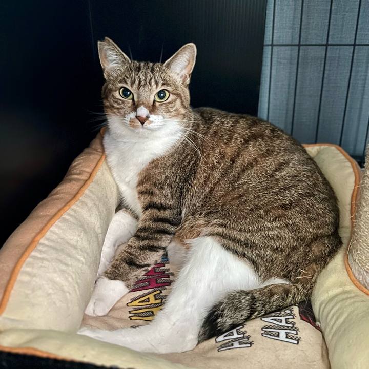 Be93eec1 d109 4483 84b5 aac359d45453 1760162337837