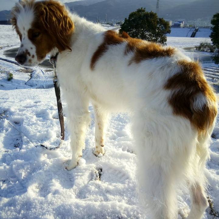 Be941136 78ee 440c b6a3 5897d9800dd4 1518493946055