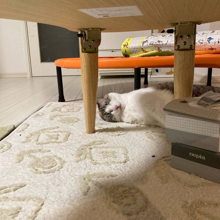 Be944113 4076 42ae b3ae a966fe46b366 1701528818263