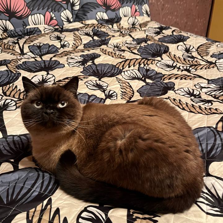 Be944b98 c875 4a88 bc16 2b73f1ef19dc 1742727666366