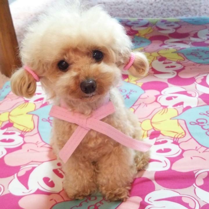 Be944f16 cc39 4101 8f15 7773e967bdeb 1559649799294