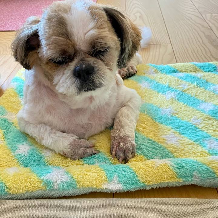 Be946737 794d 43bd 82a9 86203f5e93a3 1664673326329