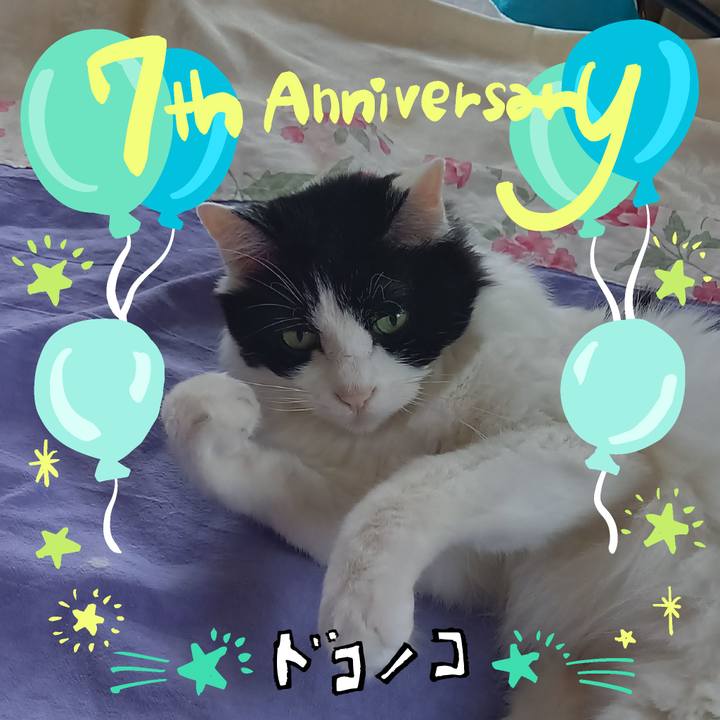 Be94b730 d507 4fd5 873f f0be5496185f 1686001179111