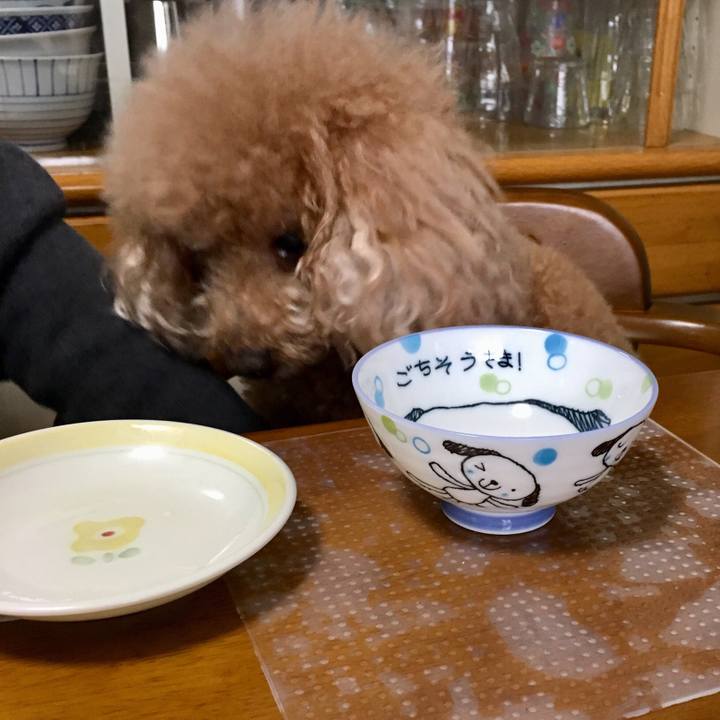 Be94c2f1 7830 47fb ac9a b250f749f6e2 1554989383518